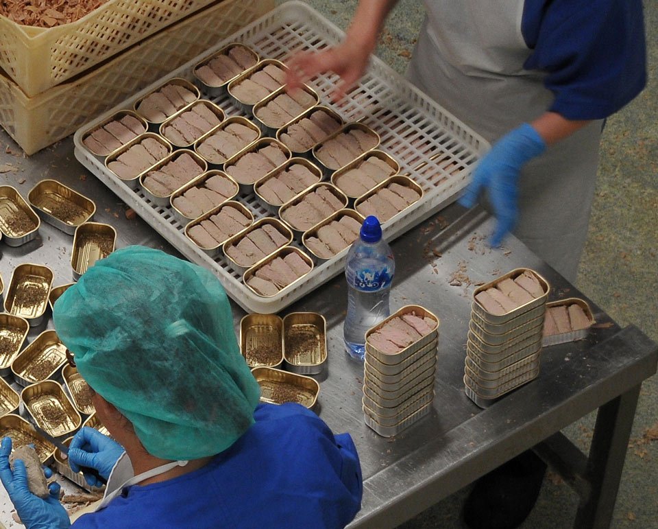 tuna-filler-machine